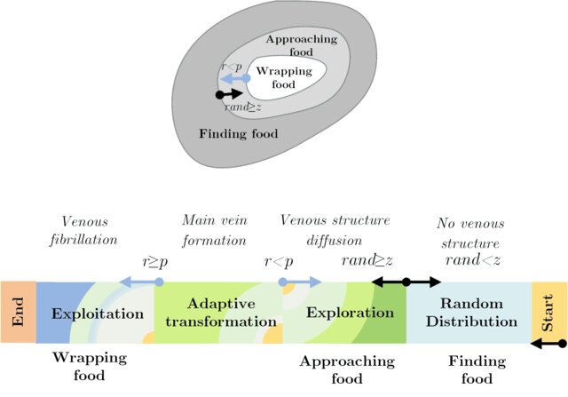 Slime mould algorithm: A new method for stochastic optimization